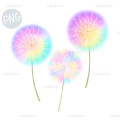 Rainbow dandelions PNG Clipart